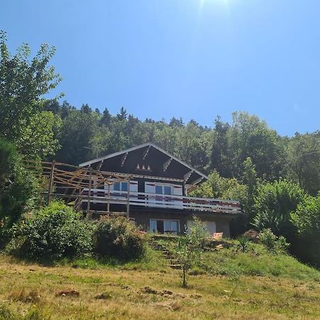 Le Chalet Des Amis Aurec-Sur-Loire Eksteriør billede