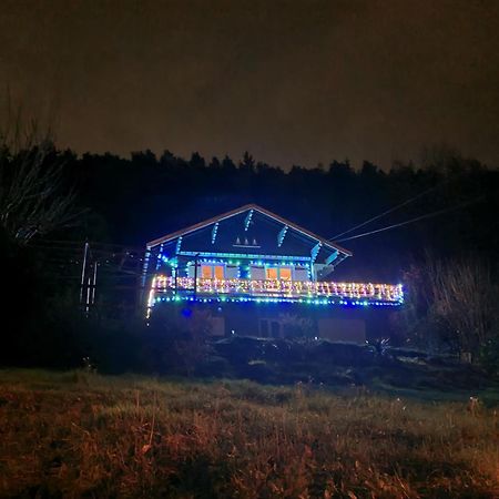Le Chalet Des Amis Aurec-Sur-Loire Eksteriør billede