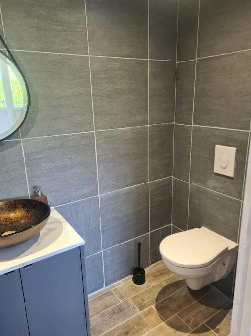Le Chalet Des Amis Aurec-Sur-Loire Eksteriør billede